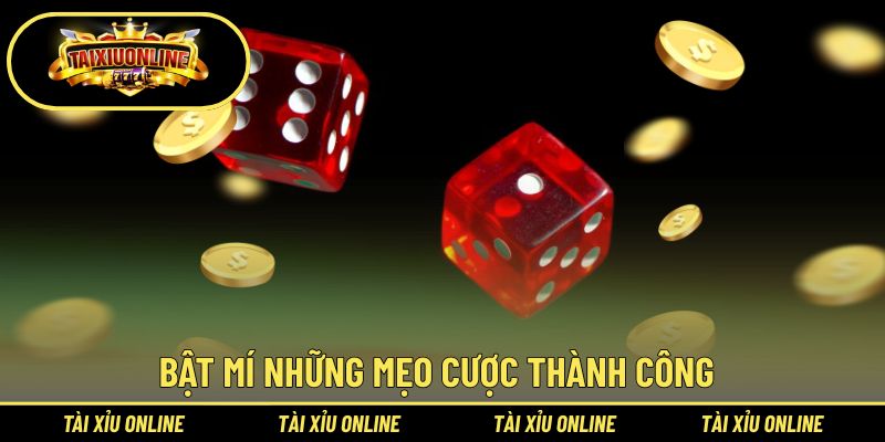 Bỏ túi những cách tham gia thành công