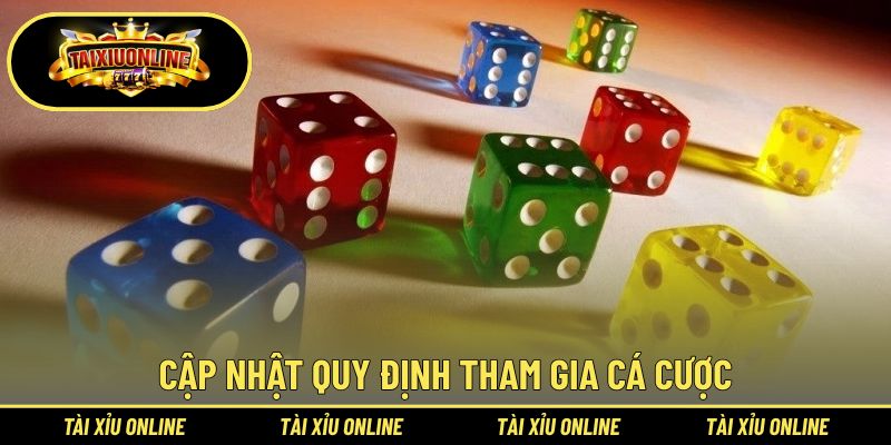 Cập nhật quy định tham gia cá cược