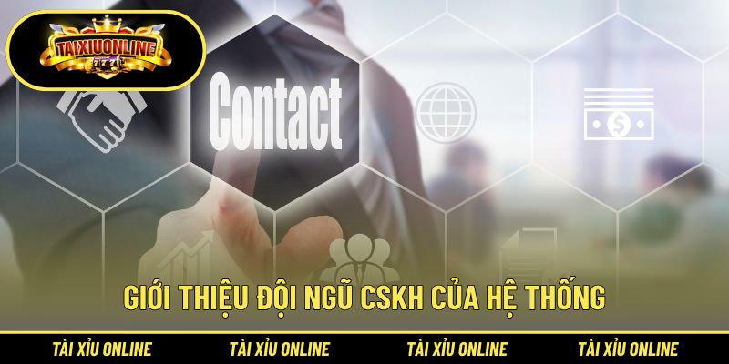Tổng quan sơ lược về đội ngũ CSKH