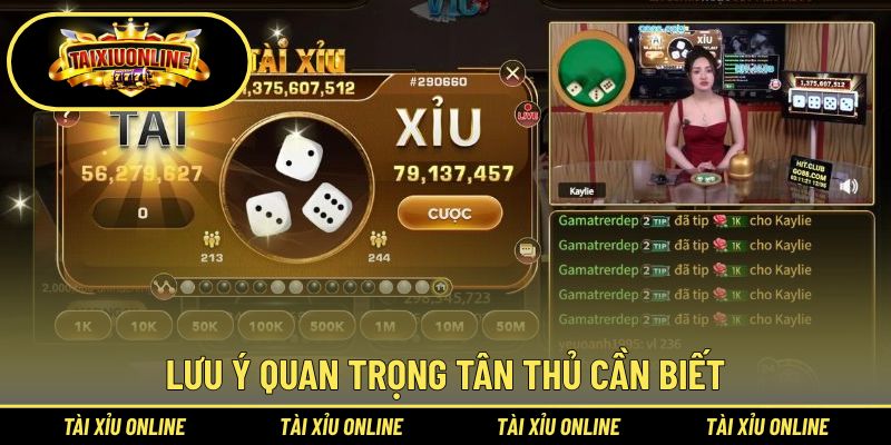 Tài Xỉu Dành Cho Người Mới - Hướng Dẫn Cách Chơi 3 Những lưu ý dành cho hội viên