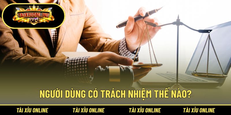 Nghĩa vụ của người dùng khi truy cập hệ thống