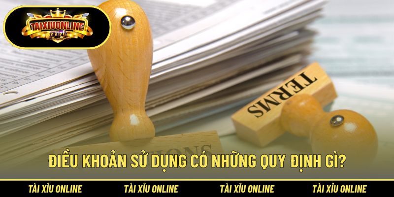 Cập nhật các điều khoản cốt lõi nhất