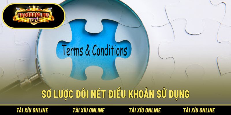 Giải mã chung về điều khoản sử dụng