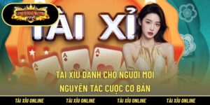 Tài Xỉu Dành Cho Người Mới