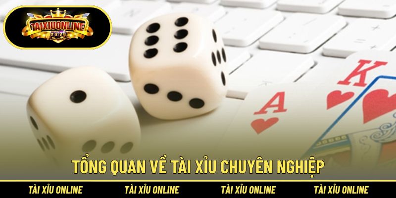 Những nét chính về tài xỉu chuyên nghiệp