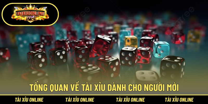 Tài Xỉu Dành Cho Người Mới - Hướng Dẫn Cách Chơi 1 Những nét chính về tài xỉu dành cho người mới