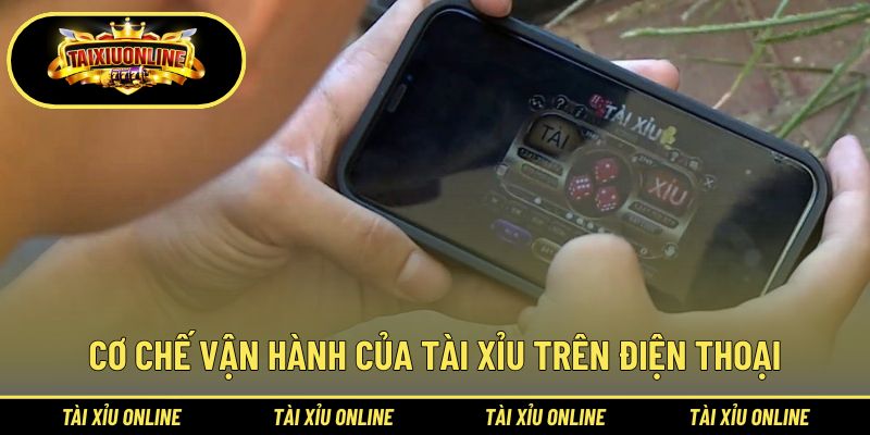 Quy trình ván chơi tài xỉu đổi thưởng online